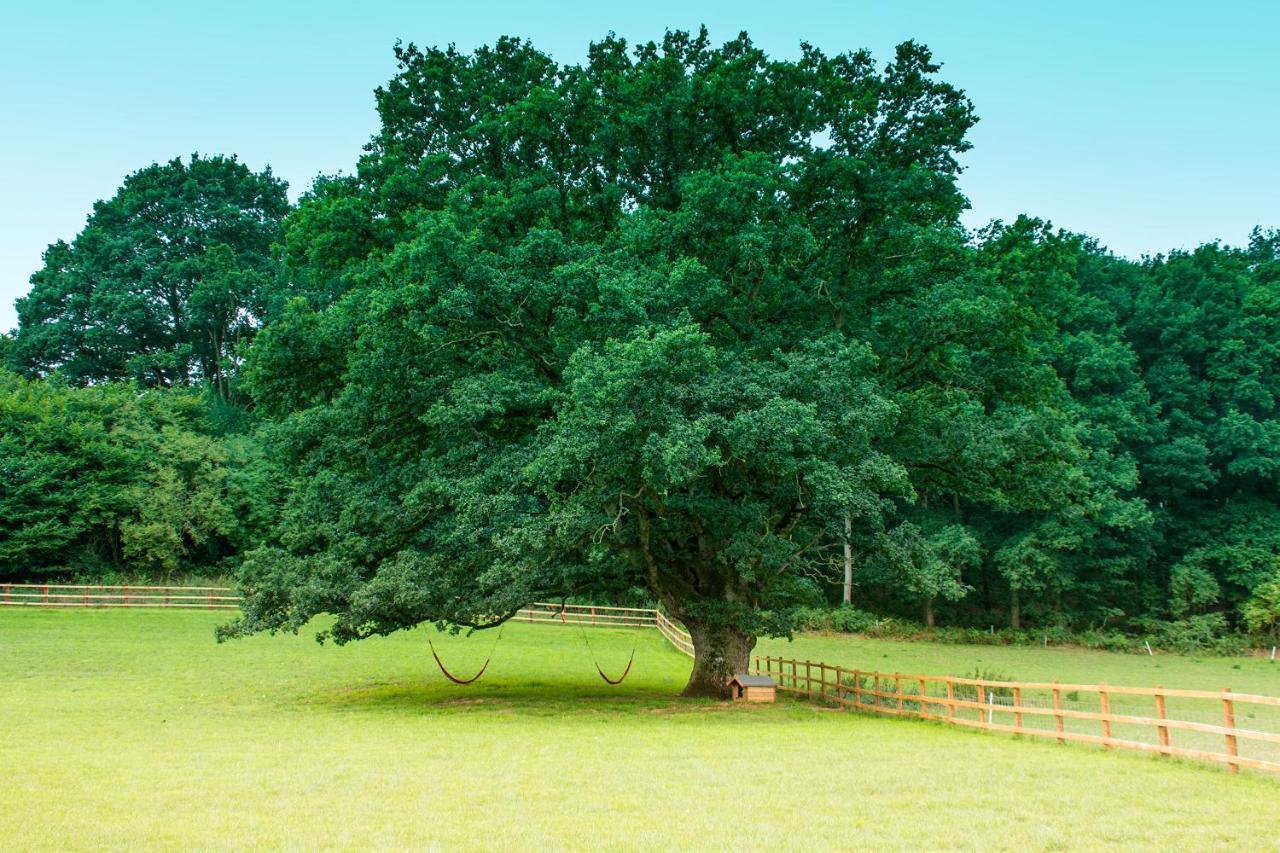 Hidden Wood Glamping And The Hideaway Cabin Warminster Exterior foto